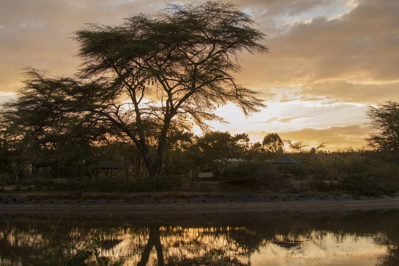 ناكورو Ziwa Bush Lodge المظهر الخارجي الصورة